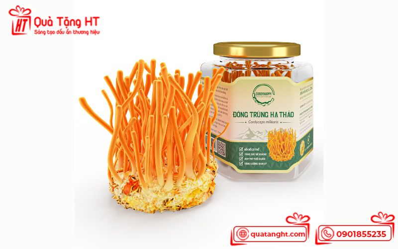 Đông trùng hạ thảo Đông trùng hạ thảo